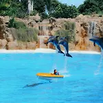 Apartman Eden Heart Of The Santa Cruz de Tenerife