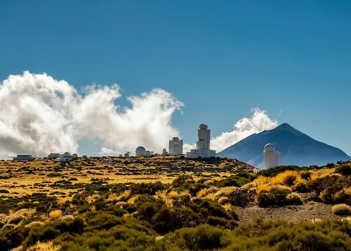 Eden Heart Of The شقة